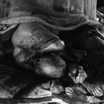 जांजगीर में बेटे ने माता-पिता समेत 4 लोगों की कुल्हाड़ी से हत्या की, जमीन विवाद बना वजह